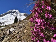 PASSO SAN SIMONE e FORCELLA ROSSA da San Simone-Baita Camoscio - 27apr22- FOTOGALLERY